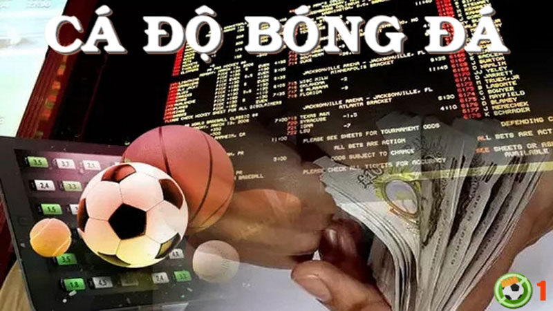 Chồng Mê Cá Độ Bóng Đá Phải Làm Sao - Giải Pháp Toàn Diện Cho Gia Đình