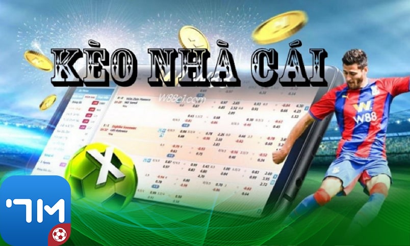 Nhà Cái 7m - Nền Tảng Cá Cược Thể Thao Trực Tuyến Hàng Đầu