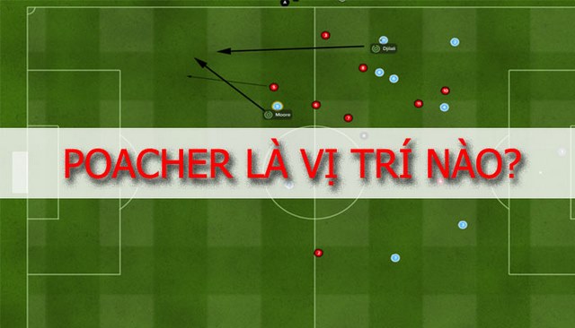 poacher trong bong da la gi 67dd738ca7148